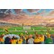 Rodney Parade Stadium Fine Art Print - Newport County FC